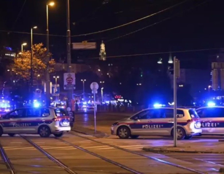Bloody Family Incident in Vienna; Afghan Man Injures Wife and Two Children.