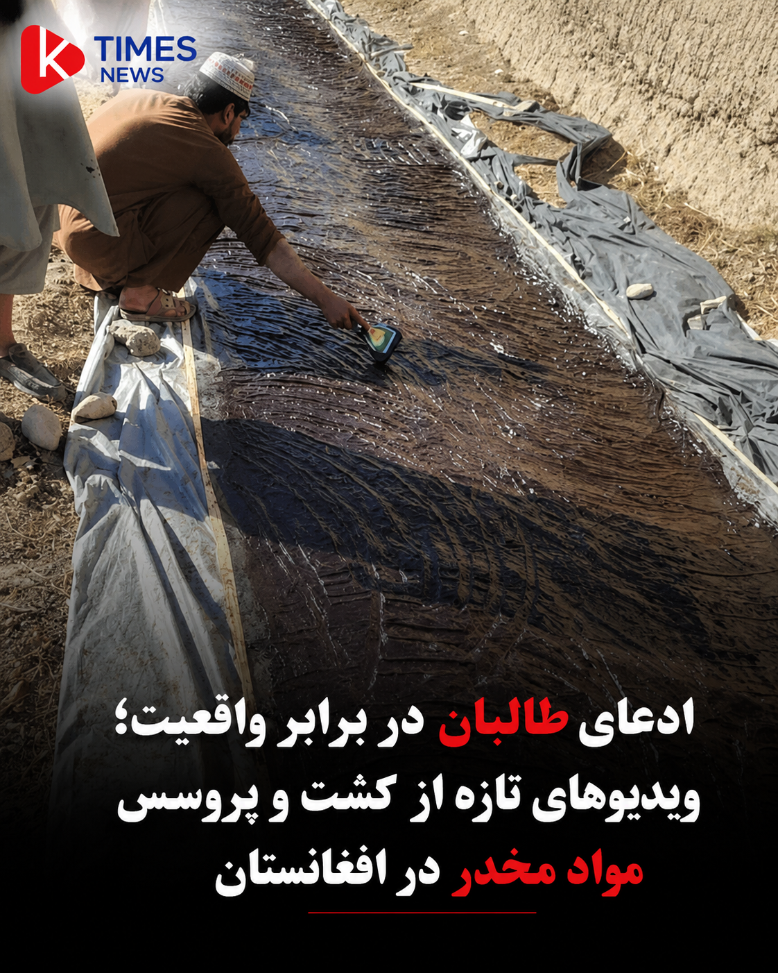 ادعای ادامه کشت و قاچاق مواد مخدر در افغانستان؛ ویدیوهای تازه در شبکه‌های اجتماعی منتشر شده است